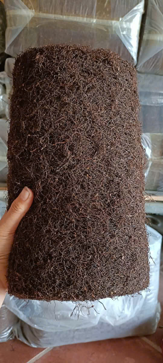 Hình ảnh Lực Thuốc Lào Mộc Sạch