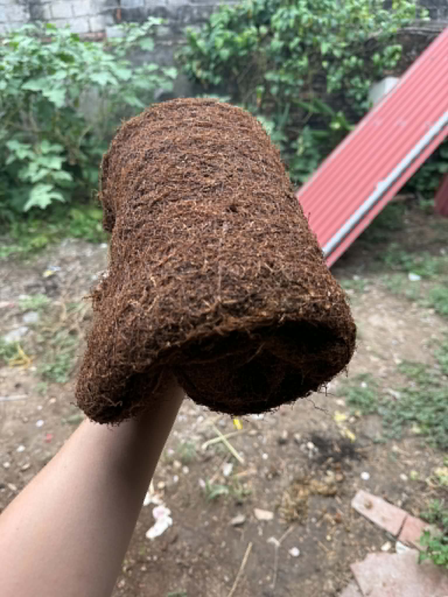 Hình ảnh Lực Thuốc Lào Mộc Sạch